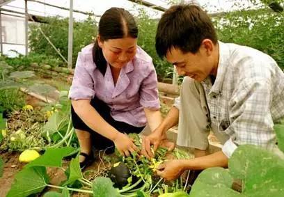 淮南资讯速递：今日最新动态