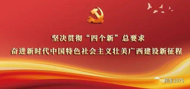 孟定肺炎防控捷报：健康守护，共筑安全防线