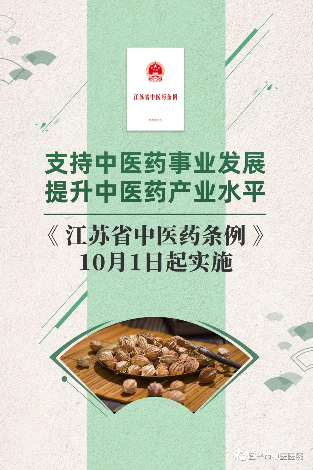 江苏中医传承新篇章：携手共创辉煌未来政策解读