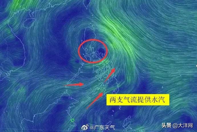 鹦鹉台风最新动态，共筑平安家园美好愿景