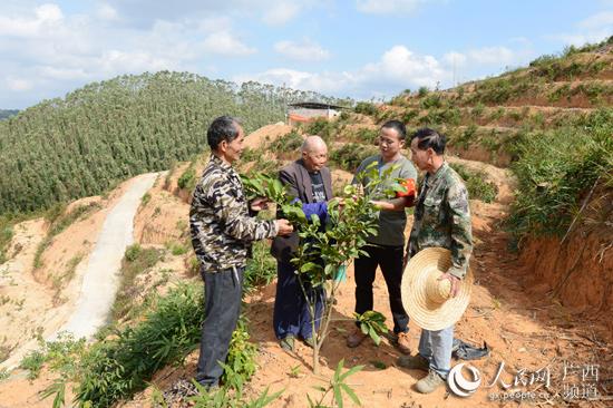 广西楼市新篇：璀璨新居，价格宜人，美好家园尽在掌握